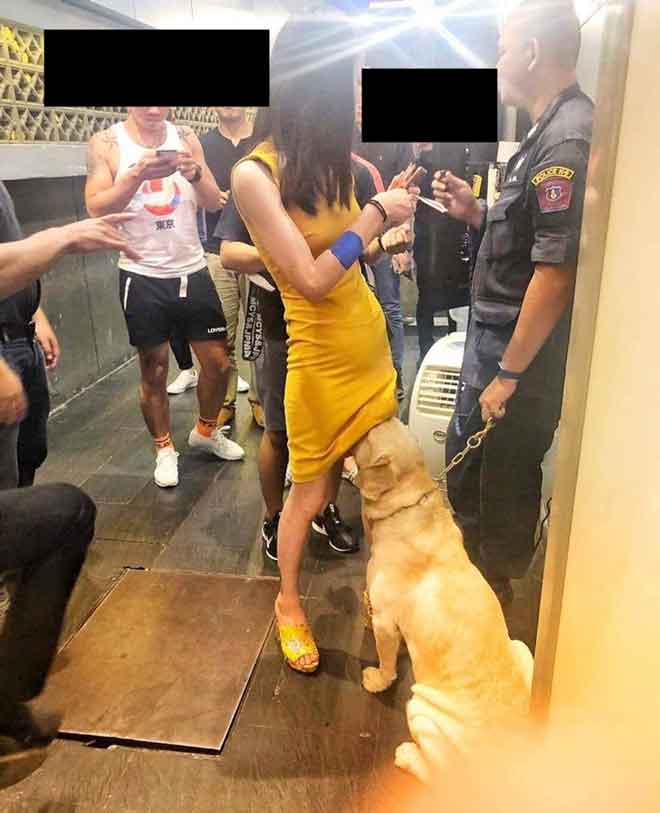 警方搜查夜店，警犬嗅女子裙下照片引热议