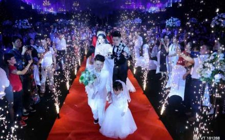 越南女子奉子成婚晚了好几年，老公办豪华婚礼花费40亿