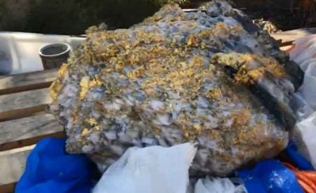 澳洲矿山挖出史上最大金块，重达90公斤，价值千万