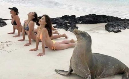 与美女一起做沙滩瑜伽
